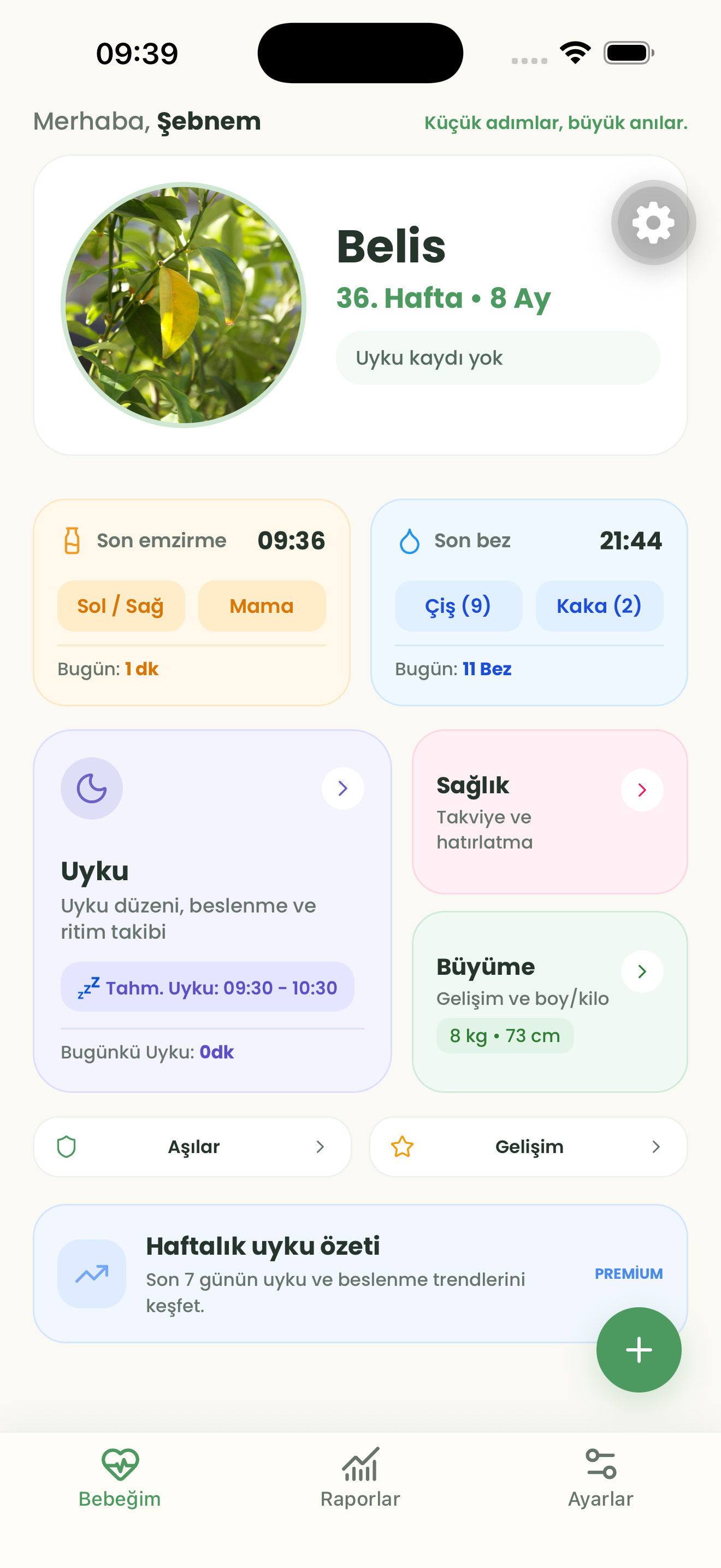 Beluna ana ekranı